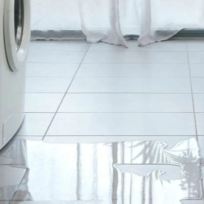 Appliance Leak Cleanup in Greenbrier County, WV