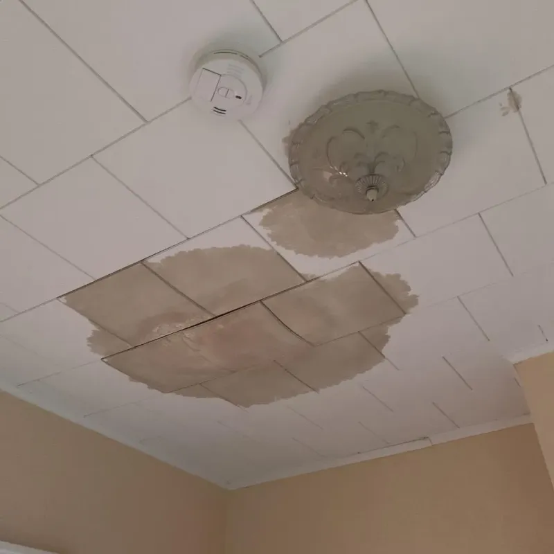Ceiling Water Damage Repair in Greenbrier County, WV