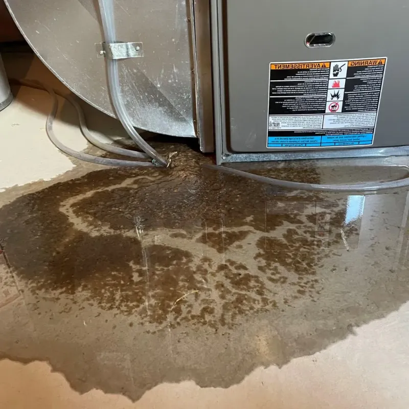 Pipe Burst and Leak Restoration in Greenbrier County, WV