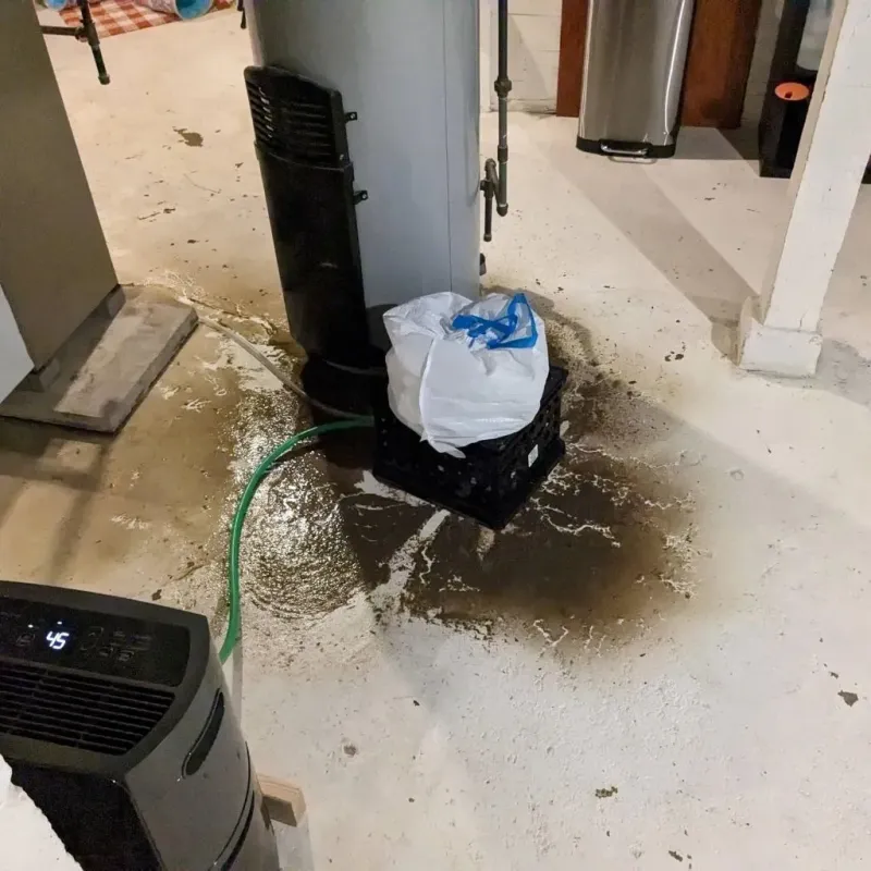 Sewage Backup Cleanup Service in Greenbrier County, WV